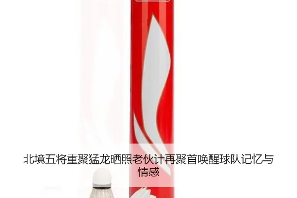 北境五将重聚猛龙晒照老伙计再聚首唤醒球队记忆与情感